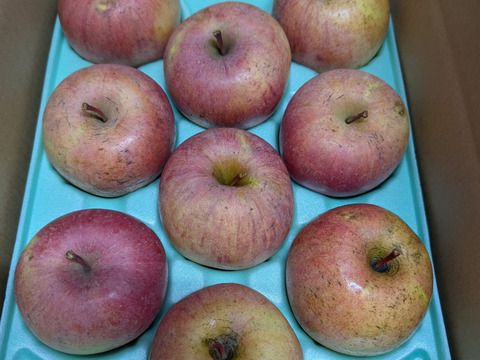 サンふじ(おうち用)3kg「見た目いまいち、味で勝負!!」