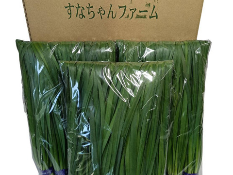 ニラ100g×10束セット(1キロ)