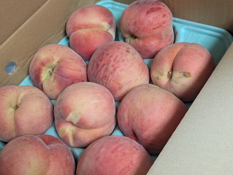 固い桃 おどろき 福島県伊達市産 2kg(5～7玉)