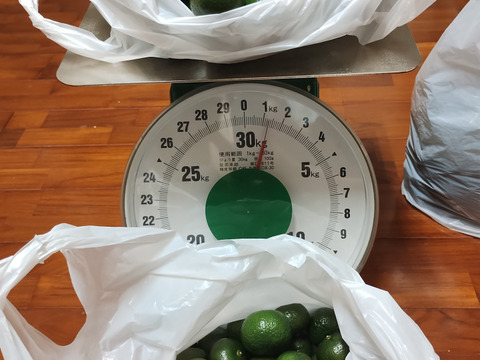 数量・期間限定

香り・果汁共に満点！「採れたてシークァーサー」　800g