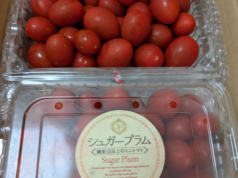 シュガープラム1kg 糖度10度以上の高リコピン(13mg)極甘・完熟・高糖度ミニトマト　ジューシーな甘さがクセになる(300003)