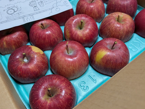 りんごの代表格！ サンふじ 3kg(13～14玉) 自家用(訳あり品) 子供でも丸かじり出来る小玉りんご 信州安曇野産りんご お裾分けにも