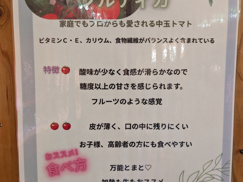 千葉県産　ミディトマト（フルティカ）【2ｋｇ】＜水耕栽培＞