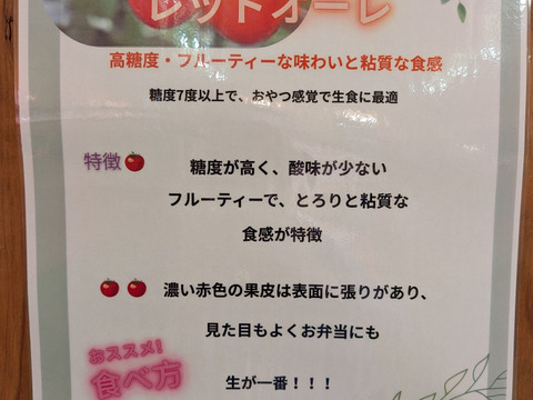 千葉県産　ミディトマト（レッドオーレ）【１ｋｇ】＜水耕栽培＞天空のとまと！美味しすぎたらごめんなさい。。。