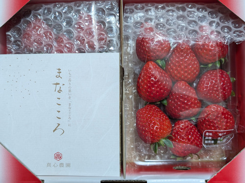 ⑨真心農園　あまりん【葵】化粧箱２パック入り　ご贈答でも好まれます！TCAMAO2P