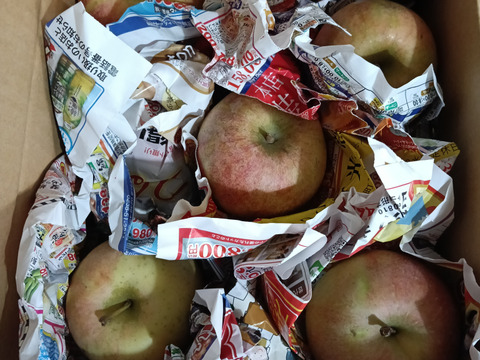 加工用に！山形高畠産葉取らずふじりんご🍎😋小玉や色薄いりんご🍎でも甘いです。ふじりんご5キロ箱バラ詰め😊
