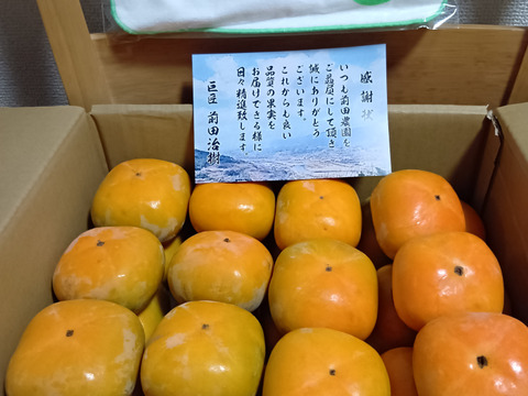 【秋の味覚】和歌山県産　たね無し柿(中谷極早生)　(訳あり)S～Mサイズ5kg×2個　10kg【500円割引】