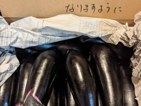 常温便【煮て焼いて、揚げて良し！】今が旬！中長ナス　2kg
