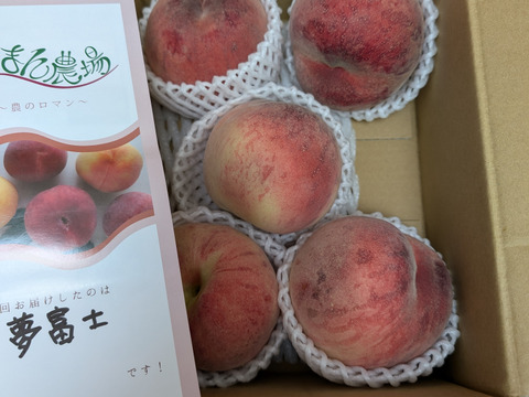 7月運命の出会い⁉️【67品種の桃を栽培】品種は何が届くかお楽しみ！白桃1.5㎏