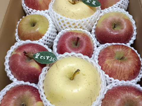 【アワード受賞福袋】🍎葉とらずふじ⭐️金星（９～１１玉）約３キロ箱 ID179783