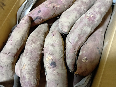 《熟成1ヶ月超えでお届け！》紅はるか（5kg）(茨城県産)・(サツマイモ)(Ⅿ～２Lサイズ)(土付き)