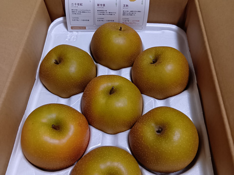 R8年度産】シーズン終盤「新甘泉(小玉)」2.5キロ(8～9玉) 数量限定 た