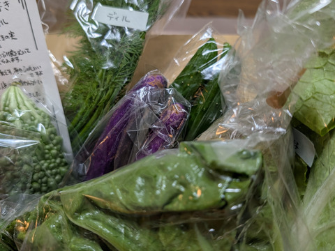 【定期便】旬の野菜セット(冬の鍋野菜・イタリア野菜)箱込み2kg