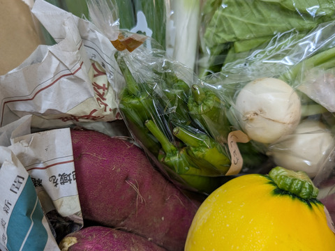 【定期便】旬の野菜セット(春の葉物野菜・イタリア野菜)箱込み1.6kg