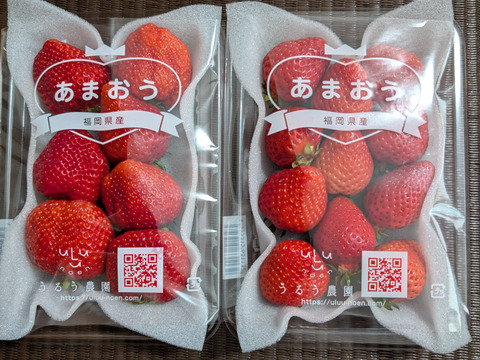 【1100円OFFセール!!】🍓あまおう苺 サイズ色々❤️270ｇ×2パック！【モンスターいちご】