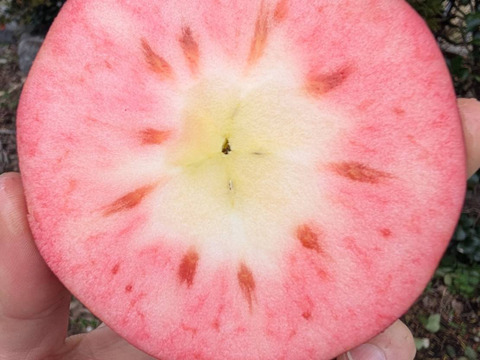 赤肉りんご 炎舞 （B品2㎏）