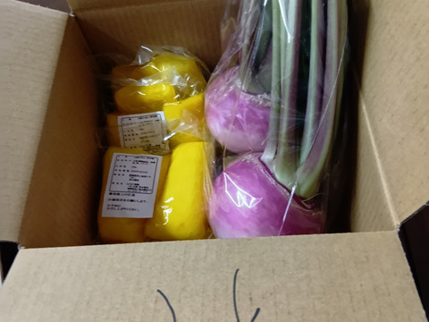 【4パック】とにかくご飯が進む！生漬け甘口たくあん