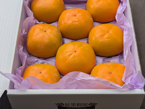 上品な舌触り＊たねなし柿＊【秀品】白紫箱・のし対応