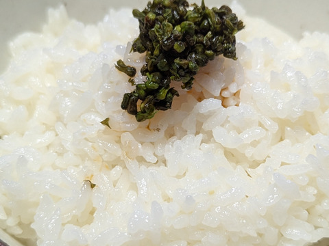 【予約増量♪】プチプチ食感がクセになる　“シソの実“😄  　480g→520g  from 名水の里　神奈川県秦野市