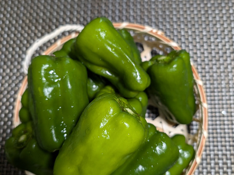 規格外ピーマンと麹で作ったピーマンと糀　瓶入り