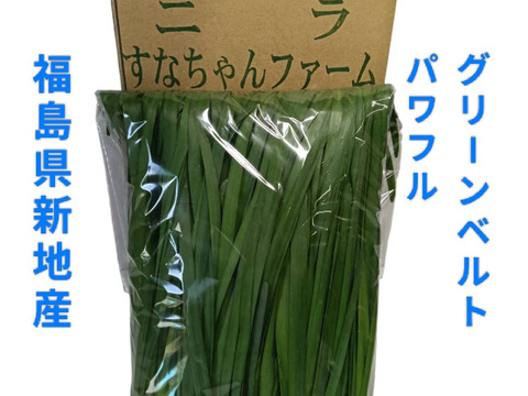 ニラ100g×10束セット(1キロ)：福島県産のパワフルグリーンベルト｜食べ