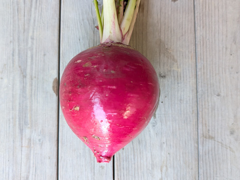 オレンジクイン白菜２玉+2品目【漢方栽培】