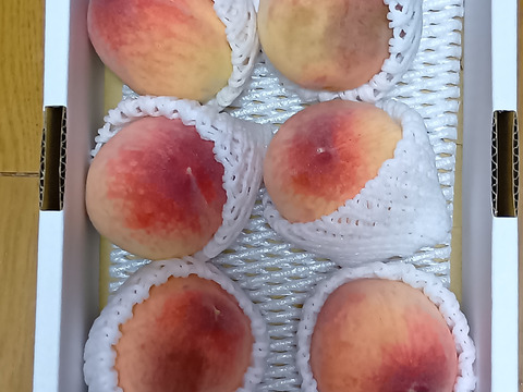 【家庭用】温室桃「日川白鳳」計900g(5〜8個入り)