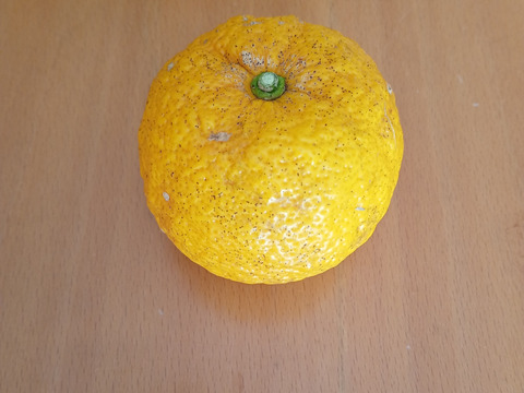 有機JAS認証　柚子（ゆず）2000g