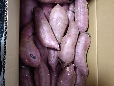 ねっとり甘い！熟成紅はるか　Mサイズ　5kg さつまいも