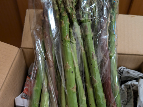 【朝採】アスパラガス B品 サイズ混合 １kg 【収穫当日発送】