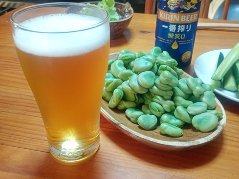 茨城県産 ソラマメ 三粒鞘 約4kg 鞘付 朝収穫して当日発送