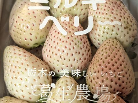 【食べチョク限定】摘みたて直送！ミルキーベリー入り！とちぎのいちご4種詰め合わせセット（4パック）（260ｇ×4パック）【いちご食べ比べ】