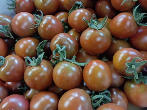 大玉・小玉　欲張り食べ比べセット！