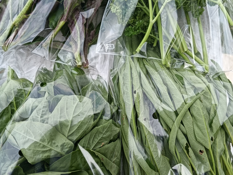 野菜ソムリエ厳選！旬の新鮮野菜ガチャ 
9連