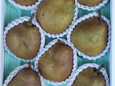 高貴な香り山形ラ・フランス【ご家庭用５Kg】