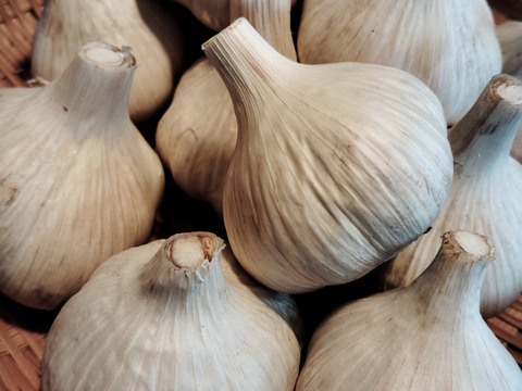 【訳あり】北海道十勝産にんにく1kg（20〜25玉）