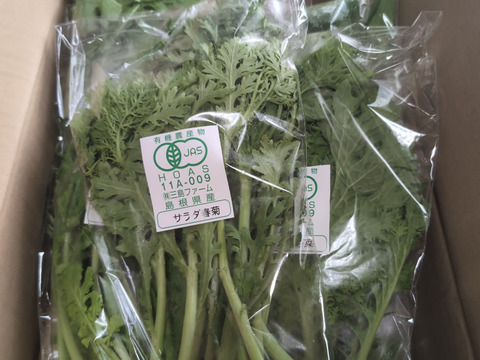 採れたて葉物野菜セット！サラダやスムージーに♪