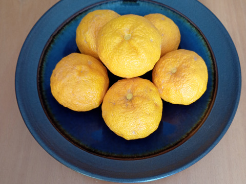 有機JAS認証　柚子（ゆず）2000g