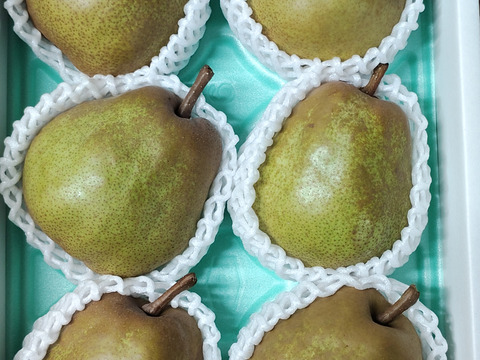 高貴な香り山形ラ・フランス【３Kg】