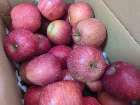 超遅もぎ丸かじりサイズ葉取らずサンふじ箱込み6キロ以上
家庭用訳あり　農薬半減栽培で安心安全！　すぐ発送！