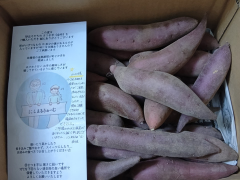 【訳あり】貯蔵期間2ヵ月ホクホク甘い！砂丘のさつまいも(３kg)