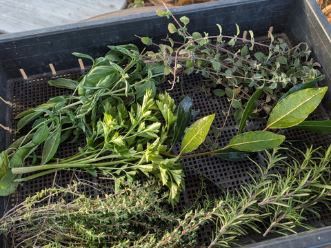 ハーブチキン用フレッシュハーブセット