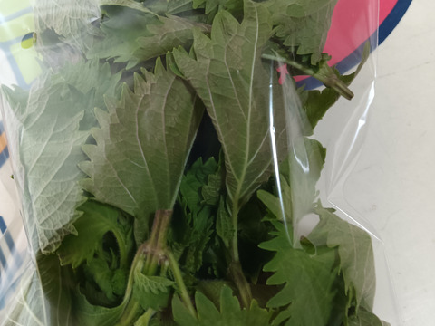 野菜ソムリエ厳選！旬の新鮮野菜ガチャ 
9連