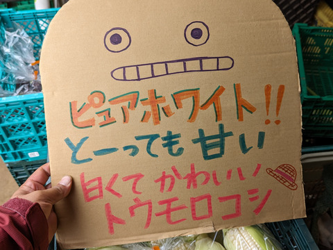 予約増量【お中元にもオススメ！😀】白い贅沢　“ピュアホワイト 3kg（9〜15本）➕おまけ3本“from 名水の里　神奈川県秦野市