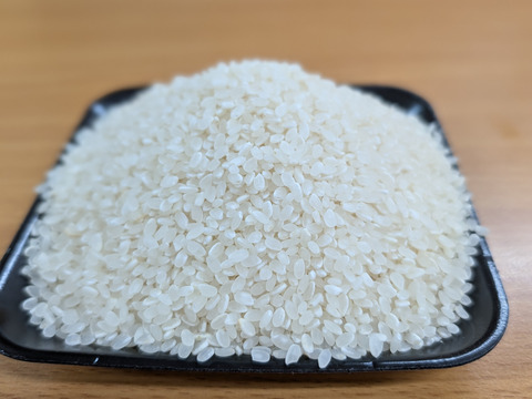 【令和７年新米】新米コシヒカリ【１０ｋｇ】千葉県南房総市産