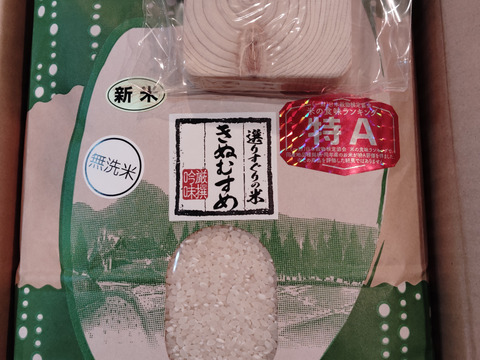 【きぬむすめ】5Kg送料込み　静岡の米　令和6年度　モチモチの新米！精米済み 令和6年産 マイスター厳選米】ふじの白雪 きぬむすめ 産地直送