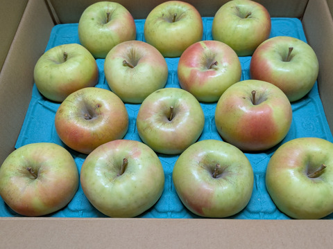 《予約受付》ぐんま名月5kg（14個～18個）青森県産りんご　家庭用