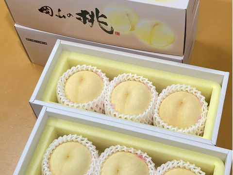 🍑🍑岡山県一宮産　大玉3玉【贈答用2箱セット】【頂】