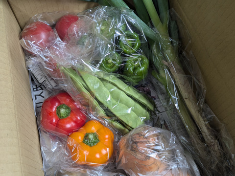 【くさぶえ農園】旬＊お試し野菜セット(6品目)