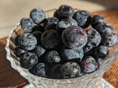 ブルーベリー 年内ご注文クール便代サービス有り】完熟冷凍ブルーベリー500g ✓鮮度